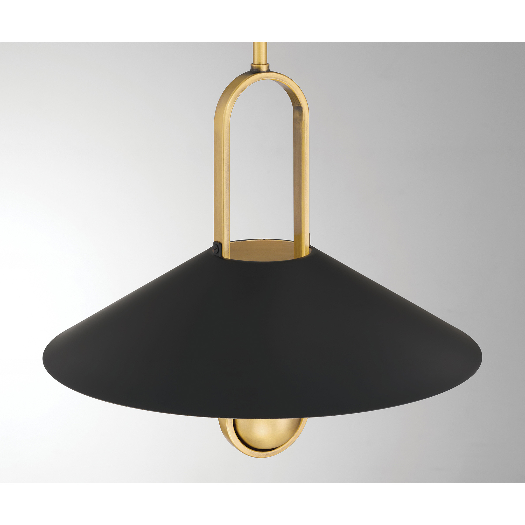 Goldenridge - 1 Light Pendant