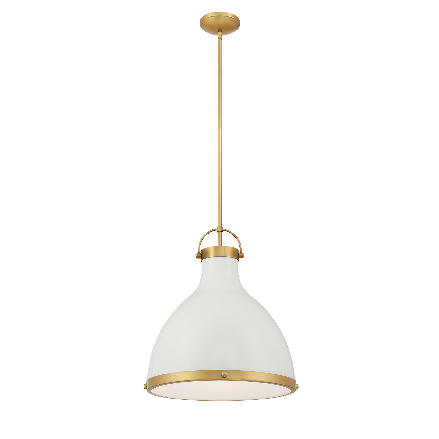 Lynk - 1 Light Pendant
<br />