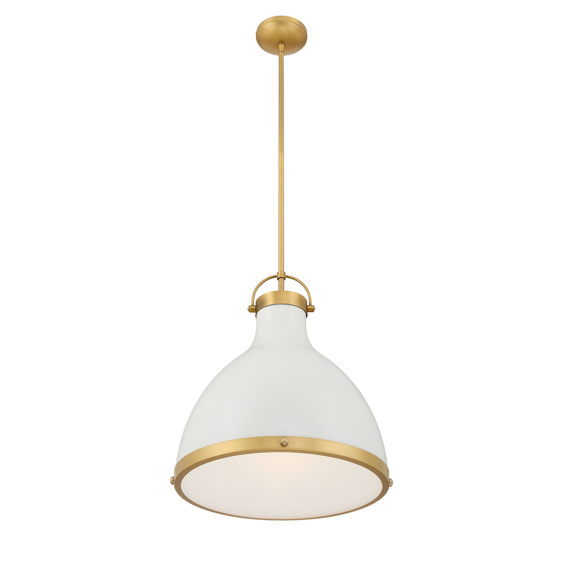 Lynk - 1 Light Pendant
<br />