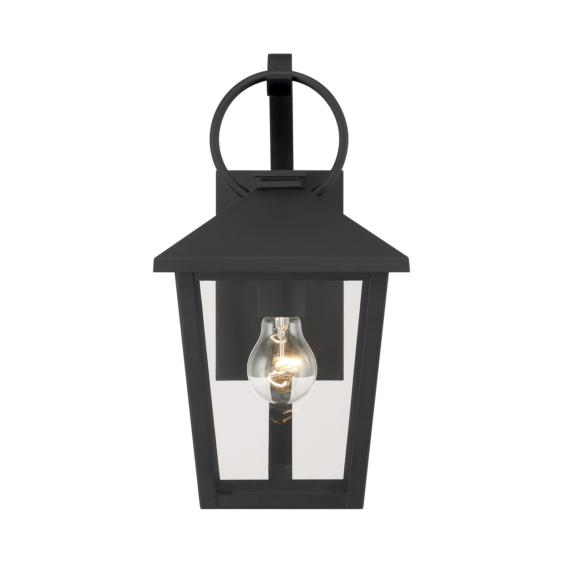 Parkside - 1 Light Outdoor Wall Sconce