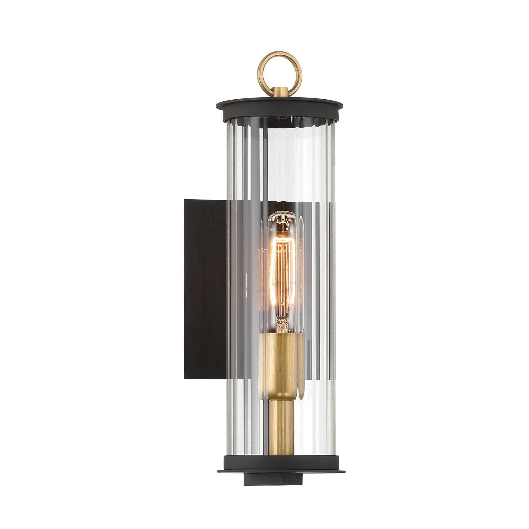 Cara - 1 Light Outdoor Wall Sconce