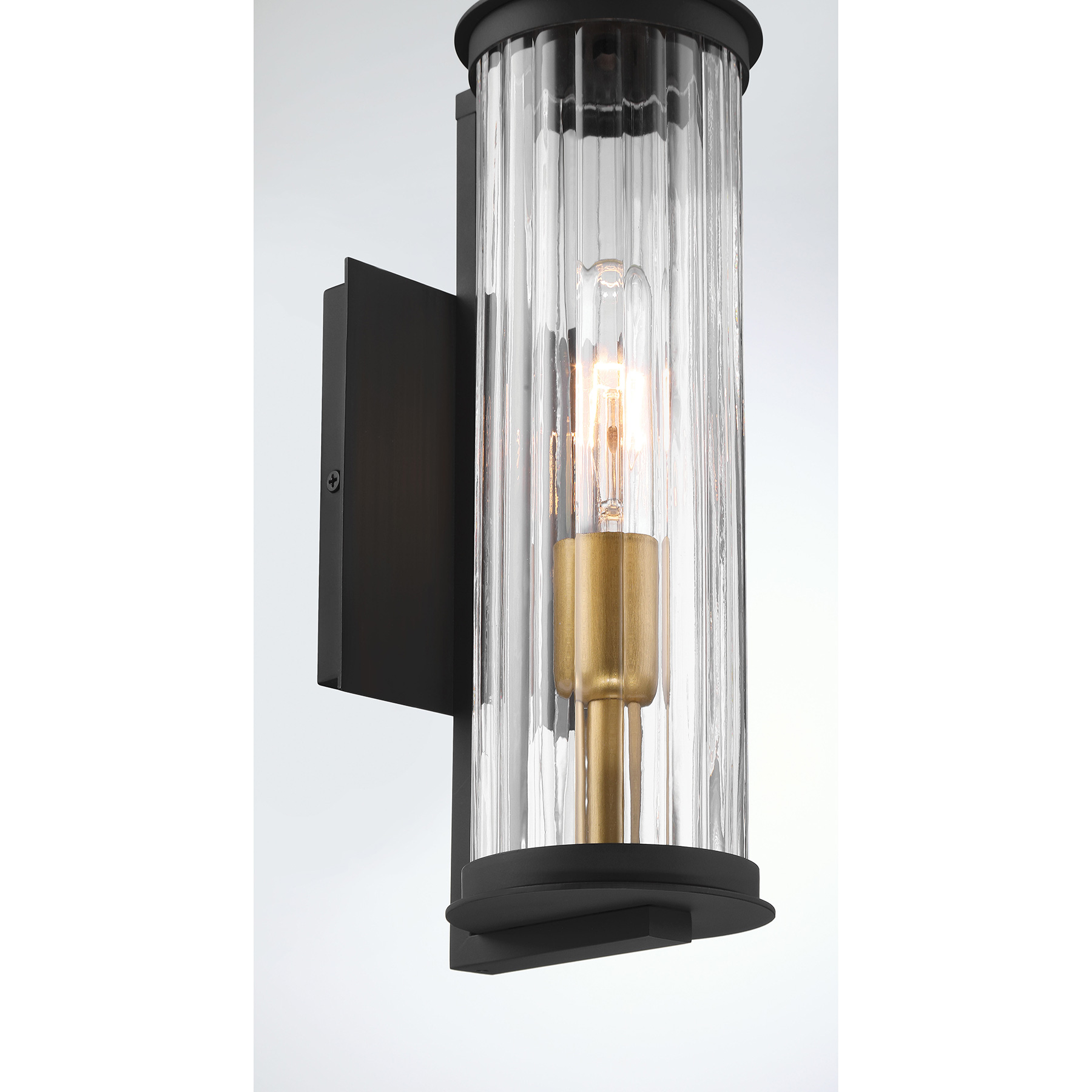 Cara - 1 Light Outdoor Wall Sconce