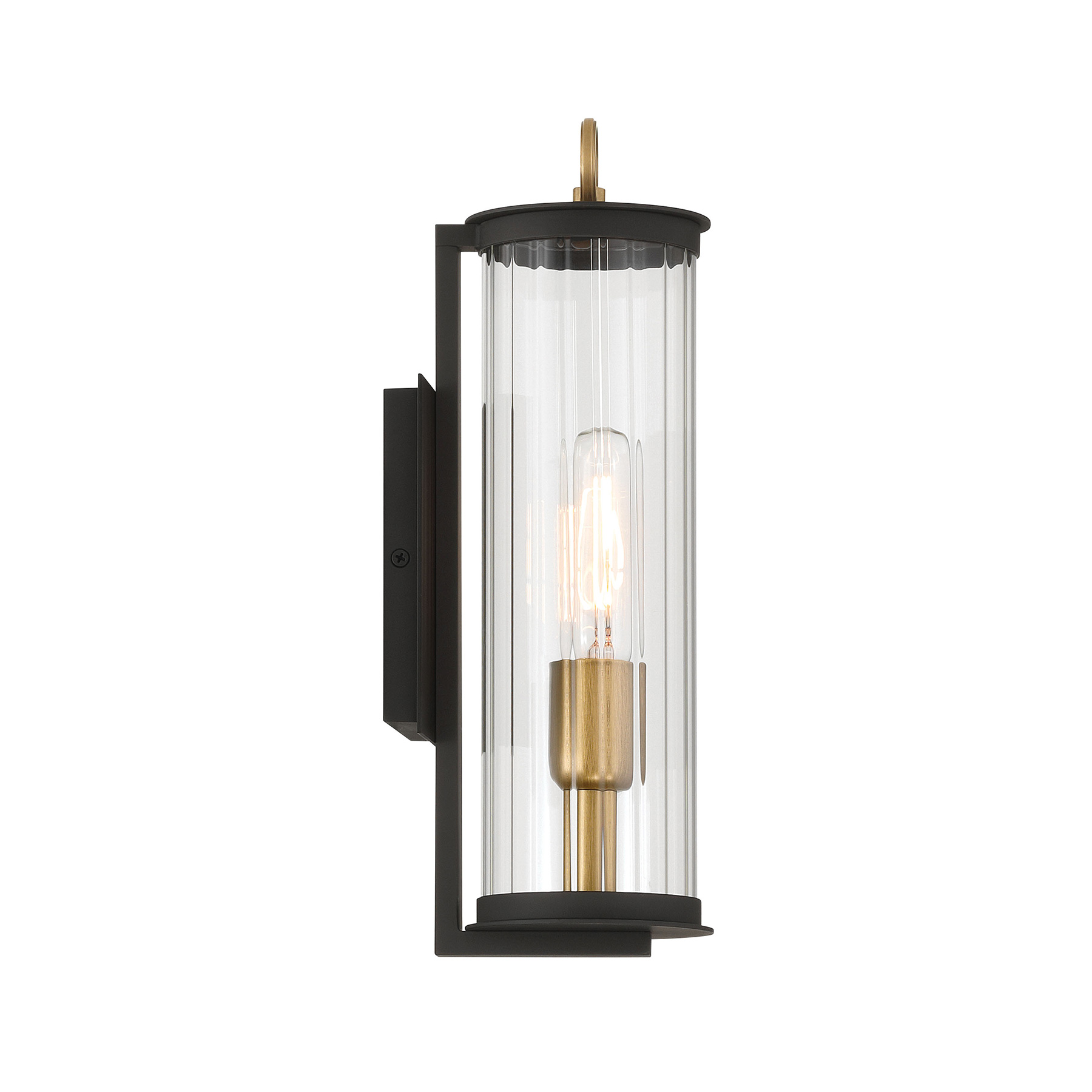 Cara - 1 Light Outdoor Wall Sconce