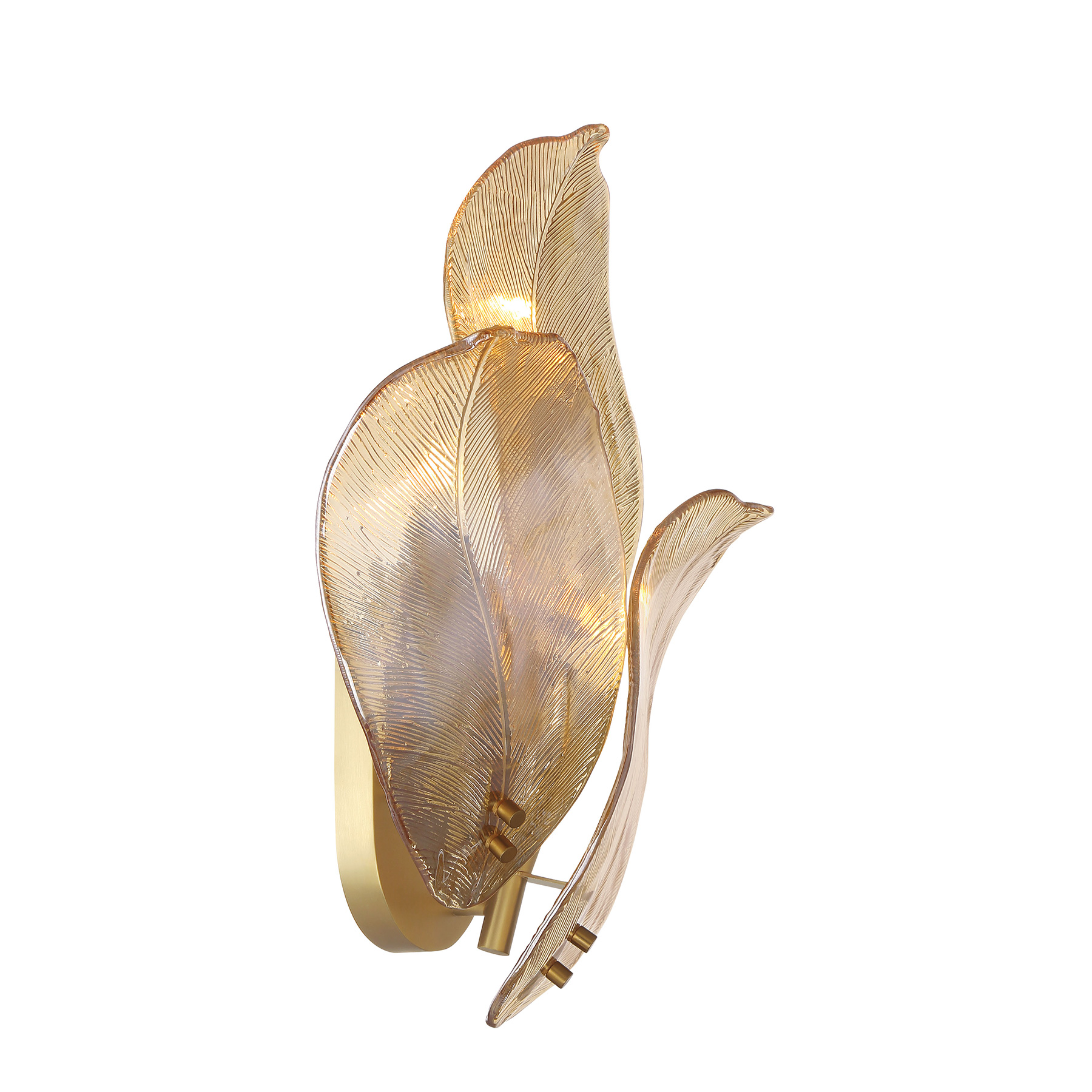 Orchid - 3 Light Wall Sconce