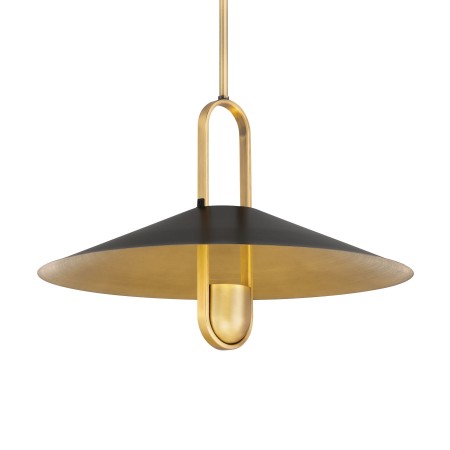 Goldenridge - 1 Light Pendant 